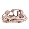 GOTOTOP Dinosaur Skull Model, Dinosaur Skull Model Simulated Animal Skeleton Lifelike Teaching Skeleton Model for Home Office Aquarium Bar Party Desktop Decor Craft Teaching Prop view 1