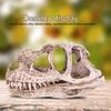 GOTOTOP Dinosaur Skull Model, Dinosaur Skull Model Simulated Animal Skeleton Lifelike Teaching Skeleton Model for Home Office Aquarium Bar Party Desktop Decor Craft Teaching Prop view 3