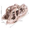 GOTOTOP Dinosaur Skull Model, Dinosaur Skull Model Simulated Animal Skeleton Lifelike Teaching Skeleton Model for Home Office Aquarium Bar Party Desktop Decor Craft Teaching Prop view 4