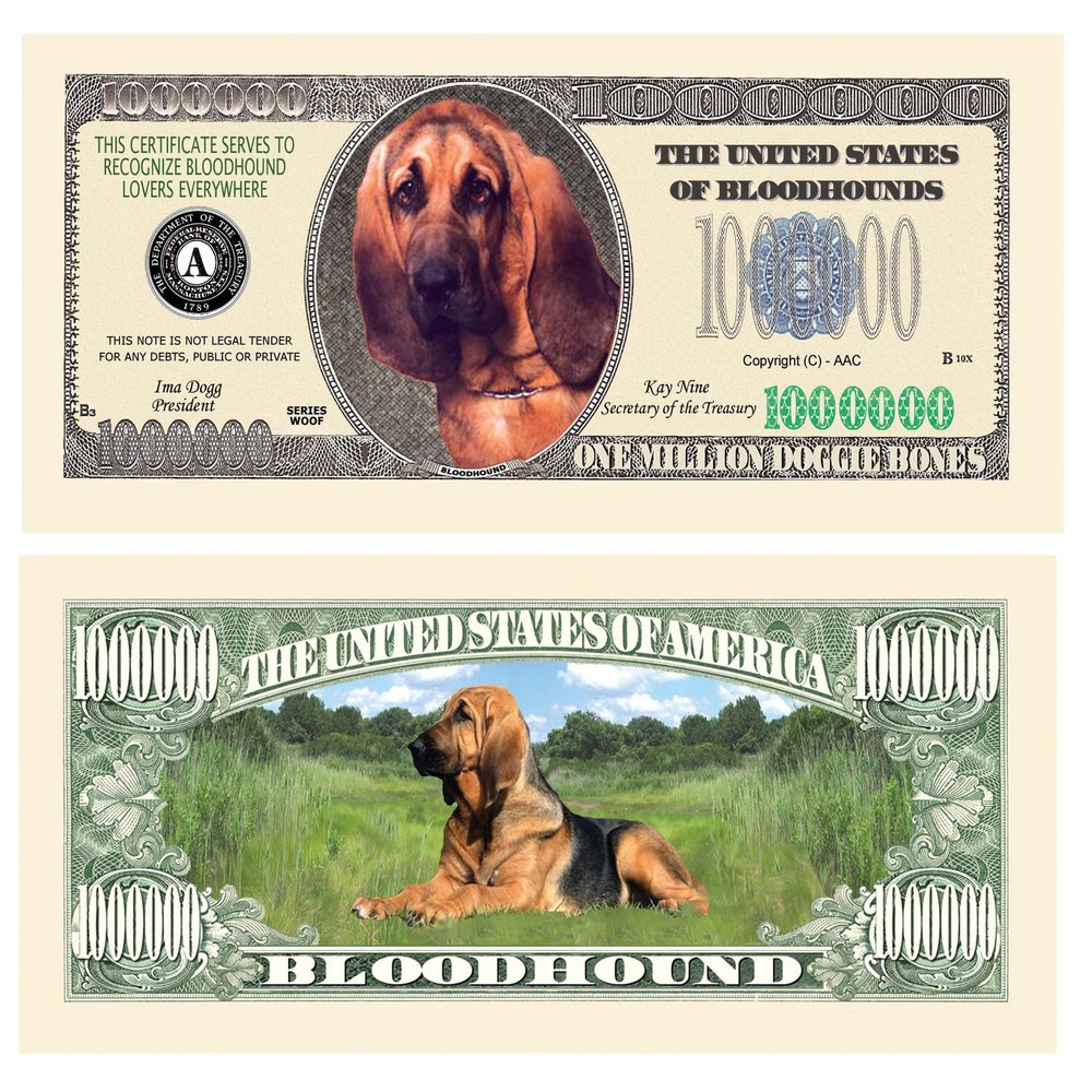 American Art Classics Pack of 100 - Bloodhound Dog $Million Dollar$ Novelty Bill Collectible - Best Gift for Blood Hound Lovers - Collectible Novelty Bill (Not Real Currency)
