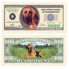 American Art Classics Pack of 100 - Bloodhound Dog $Million Dollar$ Novelty Bill Collectible - Best Gift for Blood Hound Lovers - Collectible Novelty Bill (Not Real Currency) view 1