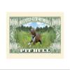 American Art Classics Pack of 100 - Pit Bull Million Dollar Bill - Best Gift for Pitbull Lovers - Collectible Novelty Bill (Not Real Currency) view 3