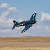 E-flite RC Airplane F4U-4 Corsair 1.2m BNF Basic Transmitter Battery and Charger Not Included with AS3X and Safe Select EFL18550 view 3