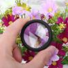 Microscope Accessories Kit 30x Cylinder Magnifier Lens Loop Microscope Microscope Slides view 4