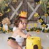 LINLULU Bee Birthday Crown for 1st Brithday - Happy Bee Day Birthday Decorations, First Birthday Crown, 1st Birthday Hat, First Birthday Decorations view 3