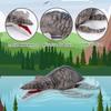 AULUDA Dinosaur Plush Toy, Mosasaurus Stuffed Animal Throw Plushie Pillow Doll, Soft Grey Fluffy Friend Hugging Cushion - Present for Every Age & Occasion view 3