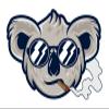 3 Cool Smoking Koala Sticker Mean Tough Animal Strong Swag Mascot view 1