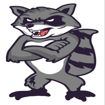 3 Raccoon Sticker Mean Tough Retro Mascot Animal Eat Trash Arms Crossed