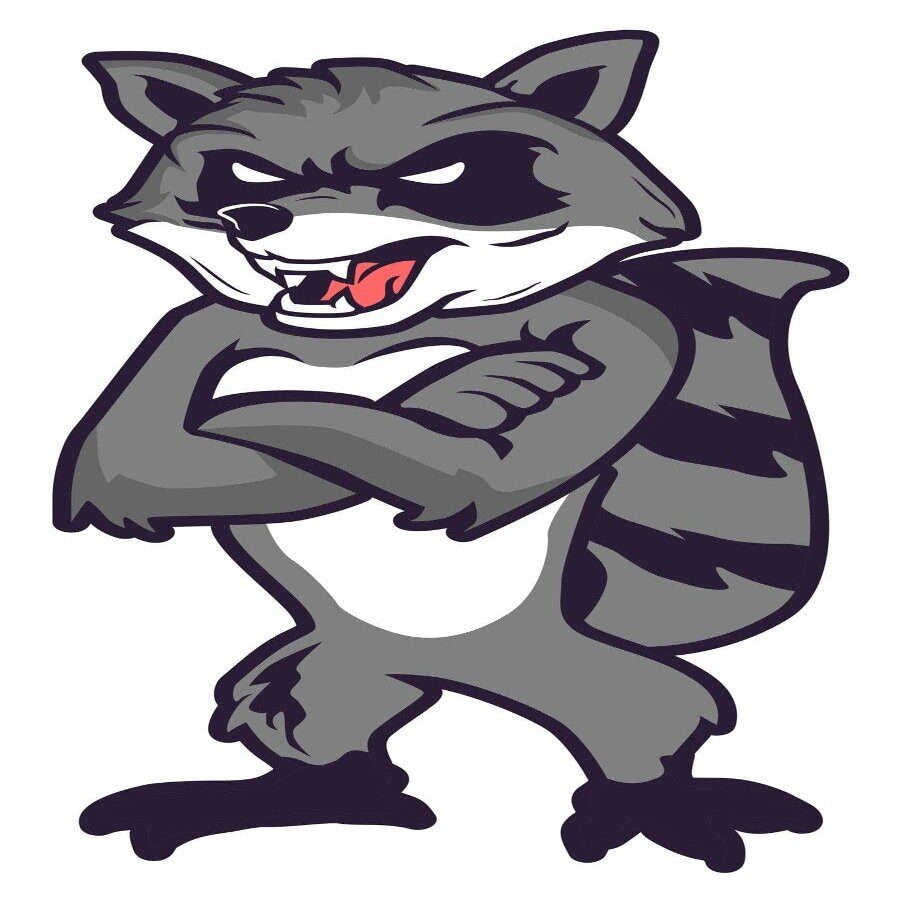 3 Raccoon Sticker Mean Tough Retro Mascot Animal Eat Trash Arms Crossed
