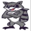 3 Raccoon Sticker Mean Tough Retro Mascot Animal Eat Trash Arms Crossed view 1