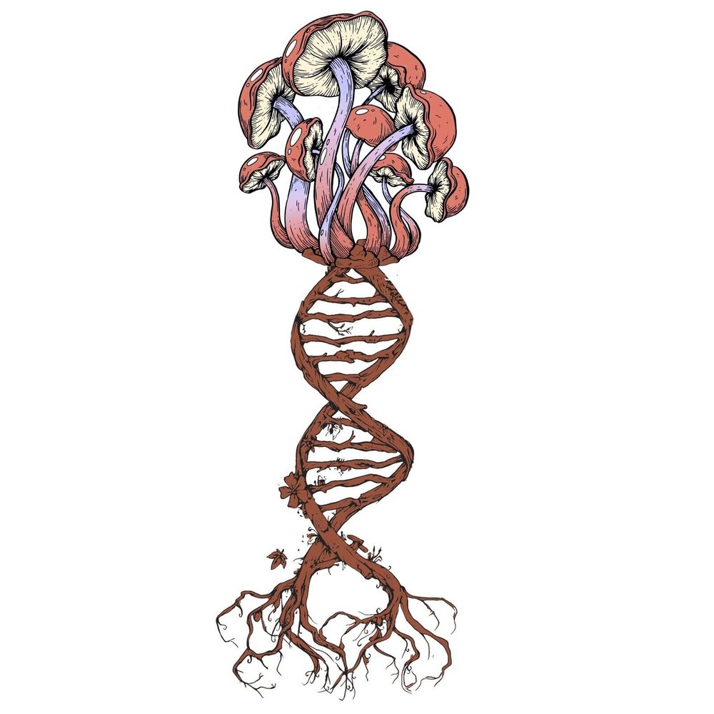 3 Shrooms Sticker Mushroom Psychedelic Art Trippy Fungus Peace Hippie DNA