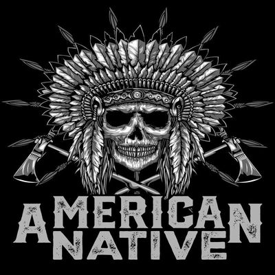 4 Native American Sticker Proud Chief Tribe Headdress History Land