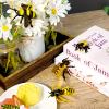 Bbiamsleep 4 Pcs Bee Figurine Set Realistic Bee Figure Honeybee Figurines Bees Model Various Bees Model Fake Bees Animal Figures Insect Toy for Science Project Cake Topper view 4