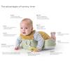 Taf Toys Tummy Time Support Toy with Detachable Toys for Newborn & Up, Develops Muscles for Crawling Montessori Sensory Crawling Toy for Infant Newborn Toddler Tummy Time Toys 0-6 Months Babies view 3