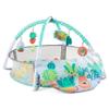 Infantino 4-in-1 Succulent Jumbo Activity Gym & Ball Pit - Combination Activity Gym and Ball Pit for Sensory Exploration and Motor Skill Development for Newborns, Babies and Toddlers view 1