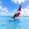 Ssccgym 53 Inch Remote Control Boat RC Pre-Assemble Sail Accessories Kits 2.4G Electric Sailboat Watercraft for Adults Boys (S) view 3