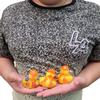 Cool Rubber Ducks (2") Standard Size. (12 Pack) Cute Duck Bath Tub Pool Toys. (Construction Rubber Ducks) view 2