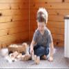 AmishToyBox.com Wooden Toddler Pull Wagon Toy with 24 Wood Building Blocks (Red Stain) view 2