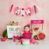 Watermelon High Chair Banner - One in a Melon Watermelon Themepink Watermelonwatermelon Party Decorationssmash Cake Photo Prop Backdropgirls Firsteat Melon in Summer. view 4