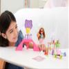 Barbie Chelsea Doll & Skate Park Playset with 2 Puppies, Skate Ramp, Scooter & 15+ Accessories, Brunette Small Doll with Blue Eyes view 2