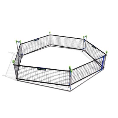 Castle Sports Portable 20 ft Gaga Ball Pit (Froggy Ball) Indoor/Outdoor for Schools, Churches, Camps, & Families