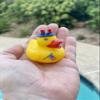 Bulk 20 Pack Patriotic Jeep Rubber Ducky Assortment - Perfect for Memorial Day, 4th of July, Labor Day or Veteran's Day view 4