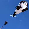 3D Kite for Kids & Adults Huge Frameless Soft Parafoil Giant Whale Flying Kite view 3