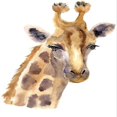 4 Giraffe Head Sticker Wild Animal Africa Savanna Tall Majestic Cute Zoo