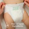 Earth & Eden Sensitive | Eco-Conscious & Hypoallergenic Diapers | Size 2 | 204 Count view 4