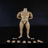 1/6 Scale Male Body,12inch Male Flexible Strong Muscular Action Figure Body Doll Collection (A) view 2