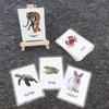Alphabet Flash Cards for Toddlers Kids ABC Flash Cards Sight Words Learning Spelling Cards Educational Flashcards for Preschool Homeschool Kindergarten Supplies Water and Tear Resistant (Animals) view 4