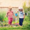 2pcs Watering Sun Flower Cartoon Watering Kettles Toy Garden Can Plastic Bucket Plant Sprinkling for (Random Color) view 2