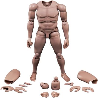 1/6 Scale Male Body,12 inch Europe Skin Male Flexible Action Figure Body MX02-A Collection (C)