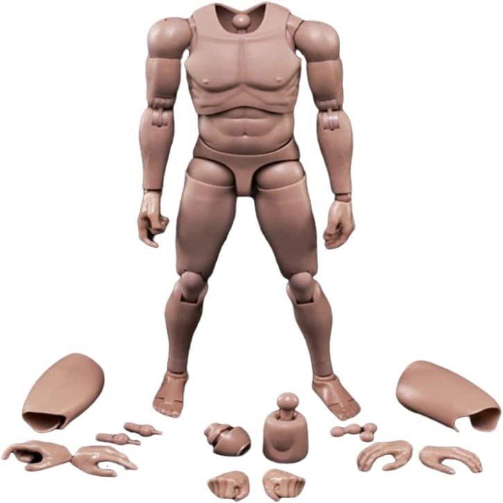 1/6 Scale Male Body,12 inch Europe Skin Male Flexible Action Figure Body MX02-A Collection (C)