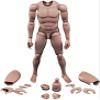 1/6 Scale Male Body,12 inch Europe Skin Male Flexible Action Figure Body MX02-A Collection (C) view 1