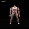 1/6 Scale Male Body,12 inch Europe Skin Male Flexible Action Figure Body MX02-A Collection (C) view 3