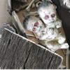 Halloween Ghost Doll Props Scary Haunted House Adornment,Realistically Latex Mummified Ghost Baby Decoration,Creepy Zombie Babies Ugly Devil Statue Tricky Prank Venue Layout Ornament (B5) view 3