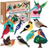 CiyvoLyeen Wild Birds Sewing Craft Kit Animal Sewing Kit for Boys and Girls Beginners Set of 12 Sewing Projects Gift for Kids view 1