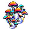 4 Shrooms Sticker Psychedelic Eyes Colorful Weird Trippy Hippie Strange Crazy view 1