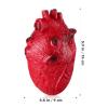 ABOOFAN Halloween Fake Heart Prop Fake Heart Ornament Squeezable Scary Body Parts Zombie Party Haunted House Decoration Halloween Party Supply view 2
