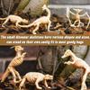 Qiuttnqn 60 Pack Dinosaur Fossil Skeletons,Plastic Figures Dino Bones,Dinosaur Skeleton Toys for Dino Sand Dig,Science Play,Party Favor,12 Styles view 4