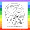 ZOCO Phonics Coloring Books for Kids  (50 Bulk Pack, With Crayons)  Early Reading Activity Books for Preschool & Kindergarten  Educational Games, Puzzles & Coloring  School & Library Supplies view 3