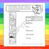 ZOCO  Learning Natural Disaster Safety  Coloring Books (50 Bulk Pack, with Crayons)  Educational Games, Puzzles, Activities for Kids view 3
