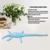 LBEC Dinosaur Toy Model, Safe Plesiosaur Dinosaur Toy Simulation, meticulous Craftsmanship, Decoration for Home. view 3