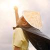 Ciieeo 2pcs Japan Samurai Cosplay Swordsman Hat Asian hat Straw Cosplay Knight view 4