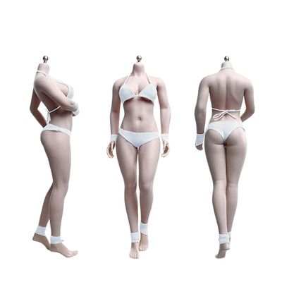 1/6 Scale Female Body,12inch Super Flexible Medium Bust Plump Body Shape Female Seamless Action Figure Body Collection (S29B Suntan Skin)