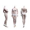 1/6 Scale Female Body,12inch Super Flexible Medium Bust Plump Body Shape Female Seamless Action Figure Body Collection (S29B Suntan Skin) view 1
