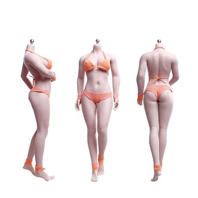 1/6 Scale Female Body,12inch Super Flexible Medium Bust Buxom Version Female Seamless Action Figure Body Collection (S28A Pale Skin)
