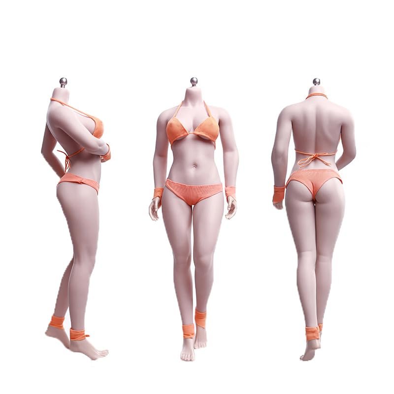 1/6 Scale Female Body,12inch Super Flexible Medium Bust Buxom Version Female Seamless Action Figure Body Collection (S28A Pale Skin)