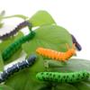 DOYIFUN 12 Pcs Simulation Caterpillar Fake Worm Crawling Insects Science Educational Learning Toys Halloween Prank Joke Toy Party Favors view 2